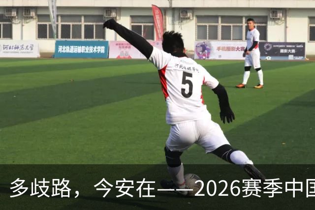 多歧路，今安在——2026赛季中国女排表现观感之四